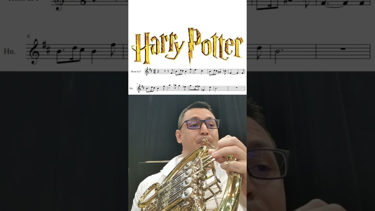 HARRY POTTER MUSIC THEME ON FRENCH HORN #harrypotter #harrypotterfan #frenchhorn #brassinstrument