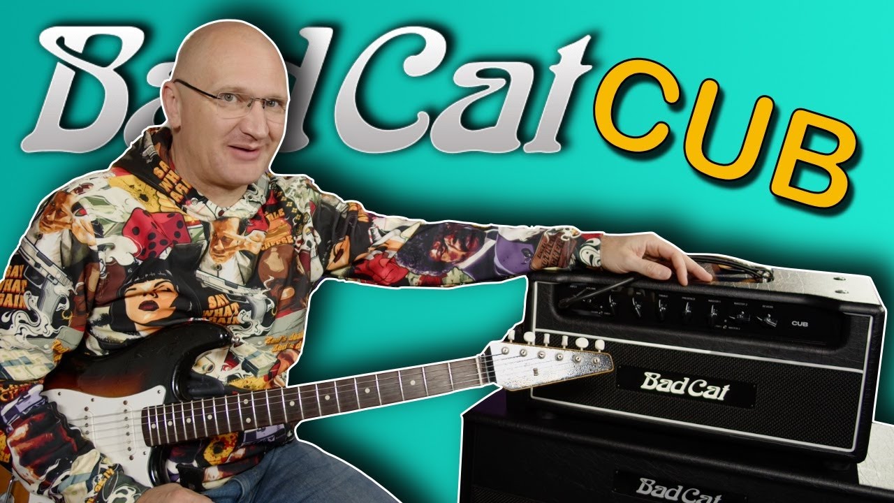 THE SPARKLE IS REAL! Bad Cat Cub Review