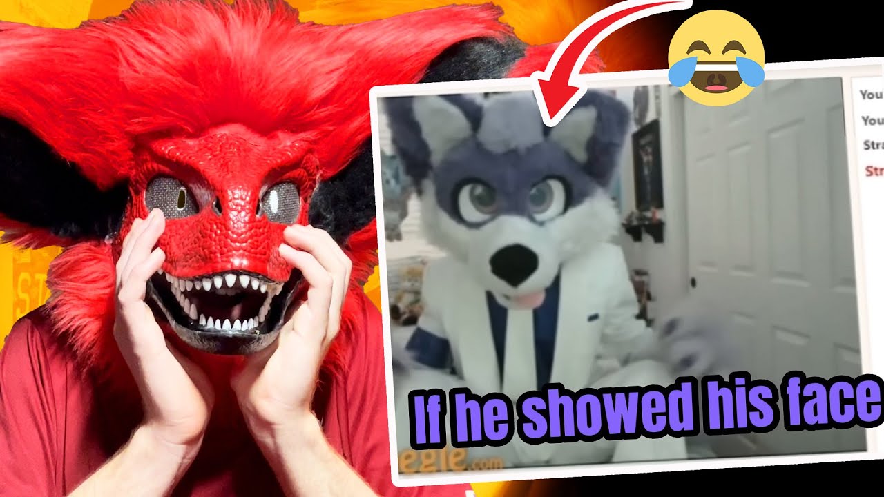 FURRY THAT GOT ROASTED FROM PACKGOD REACTS TO HIS FRIEND GETTING ROASTED!!! Packgod vs Omegle Furry
