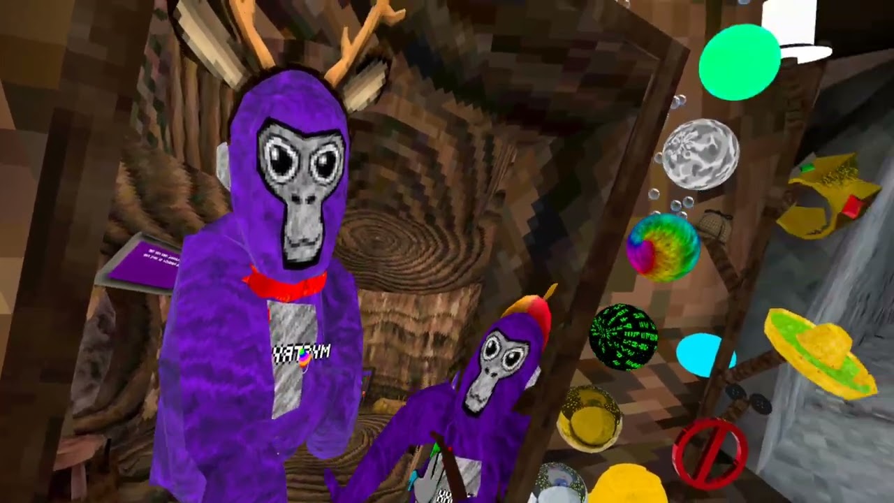 me and my friend play delmem taggers
