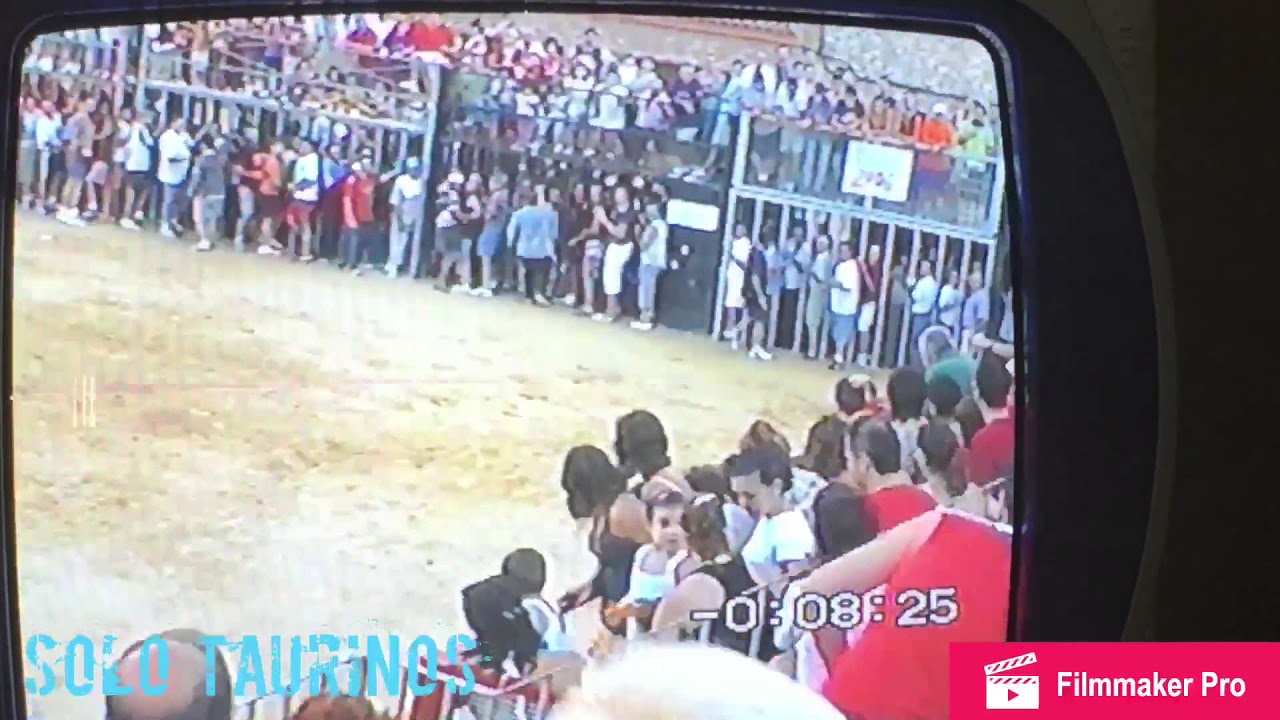 !!!!!IMPRESIONANTE!!!! Sustos y cogidas RAT&Oacute;N 🐂