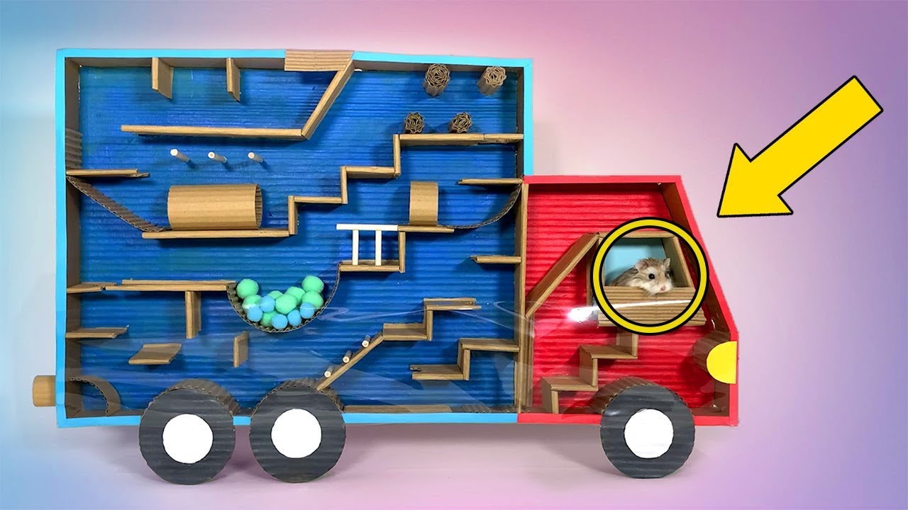 🔴 My Funny Cute Pet Hamster in Truck Maze / Obstacle Course / Who is the BEST?
