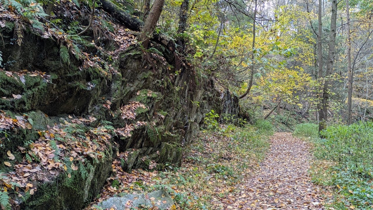 Episode 1: Hiking Fern Cliff Nature Preserve and Preliminary Sketches