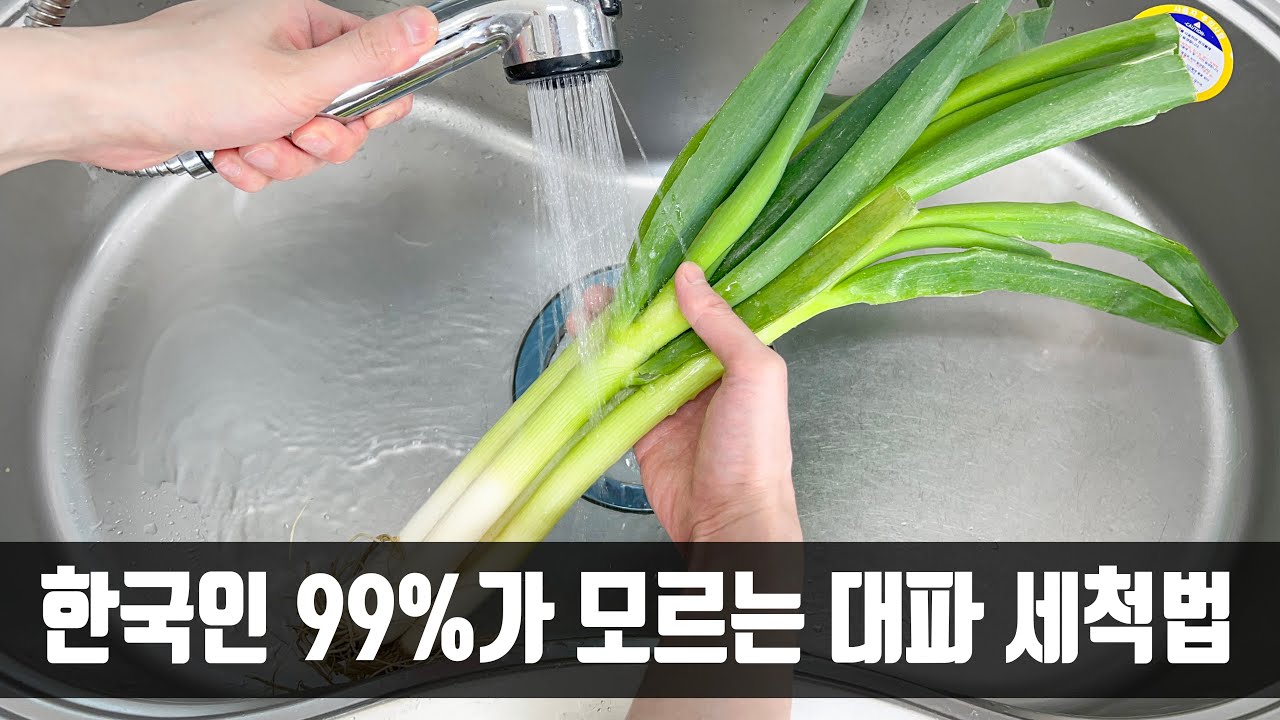 대파는 바르게 씻지 않으면 농약이 넘치는데 사장님이 비법을 가르쳐 줘 3주가 지나도 싱싱합니다