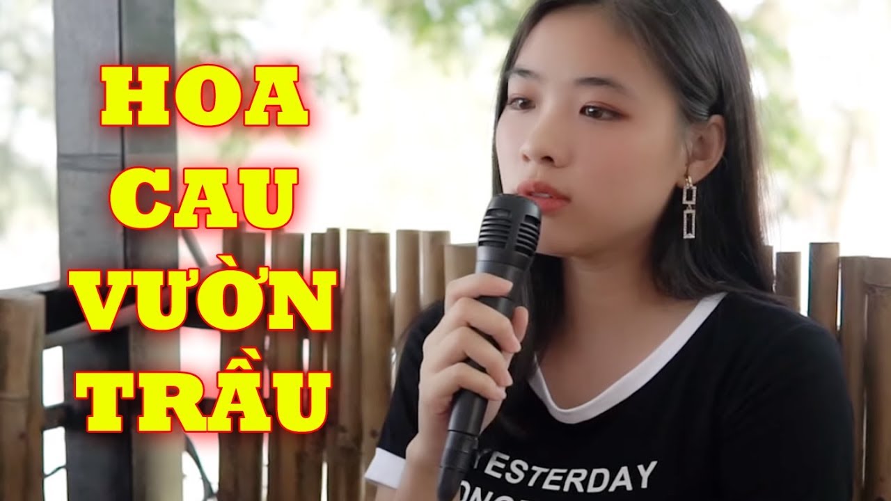 Hoa Cau Vườn Trầu - Thanh Ngân | Lk Nhạc Cha Cha Cha chất giọng cực hay