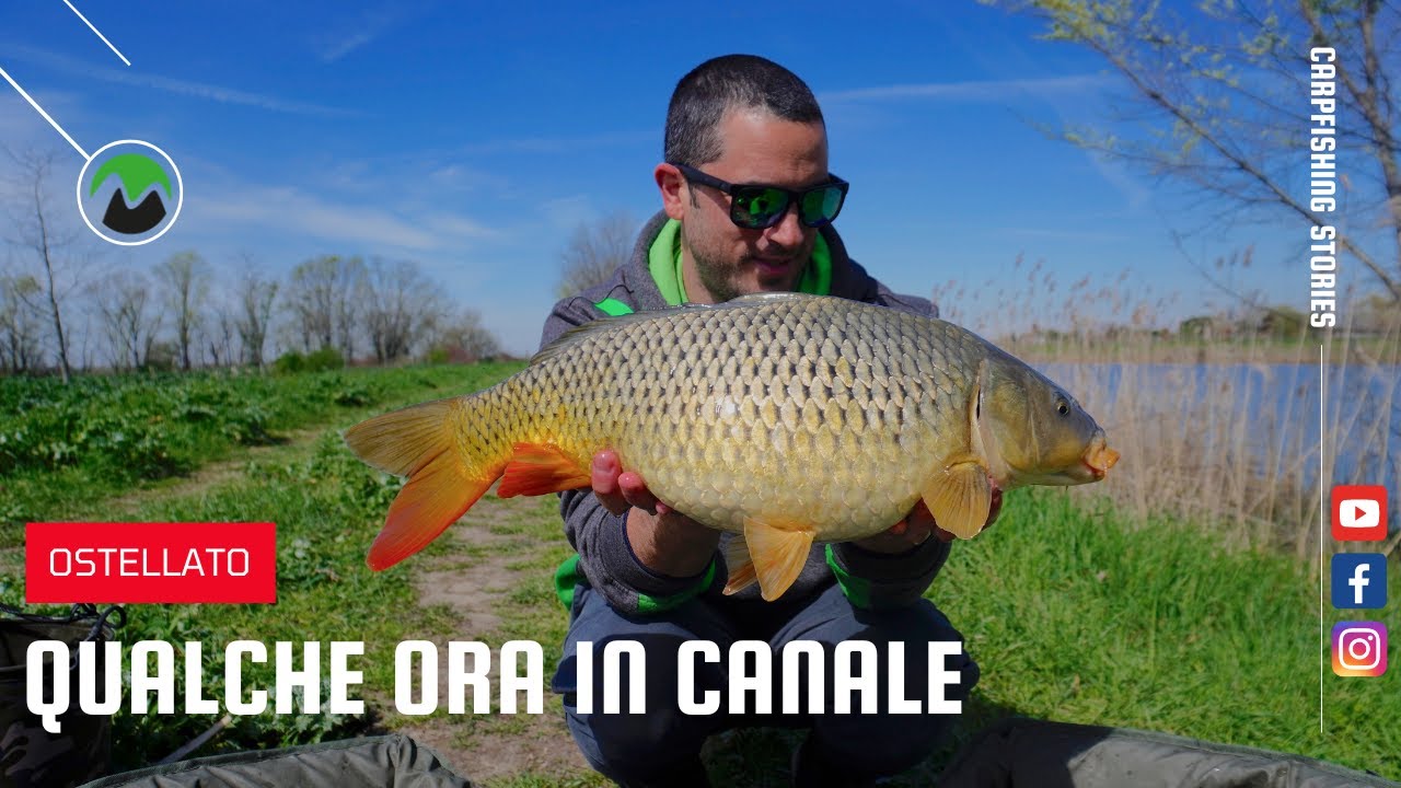 CARPFISHING - Qualche ora in canale