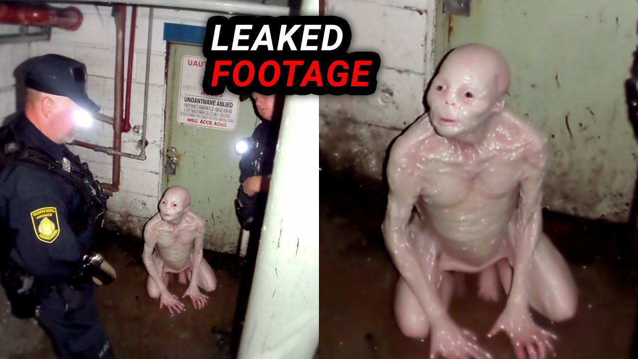 HORRIFIC Viral Videos: Watch at Your Own Risk