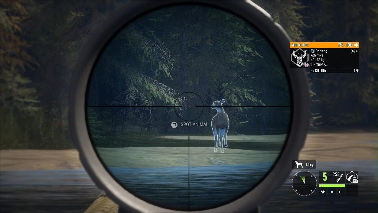 Stacking dime whitetail.