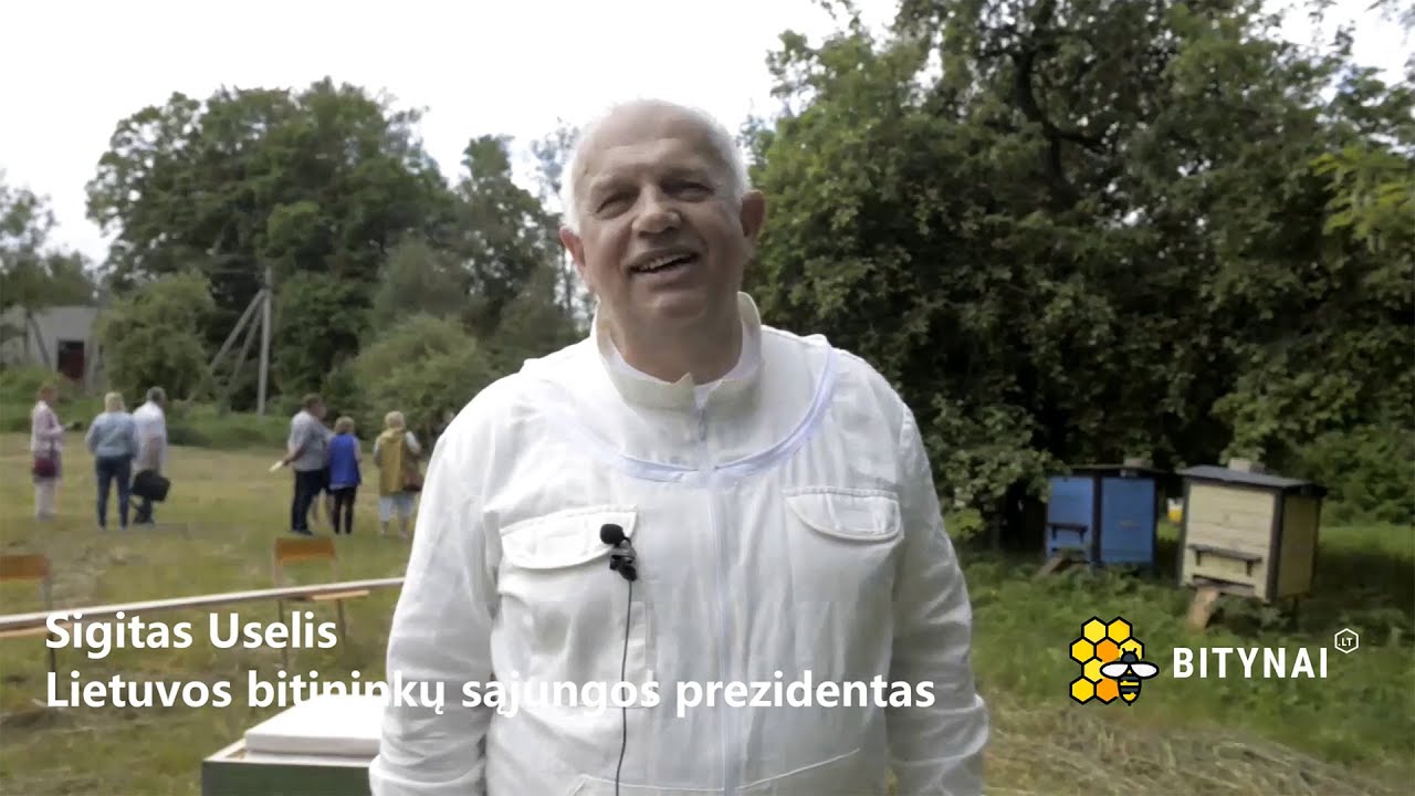 Mokymai apie bitininkystės pagrindus ir bičių gydymą Alantoje