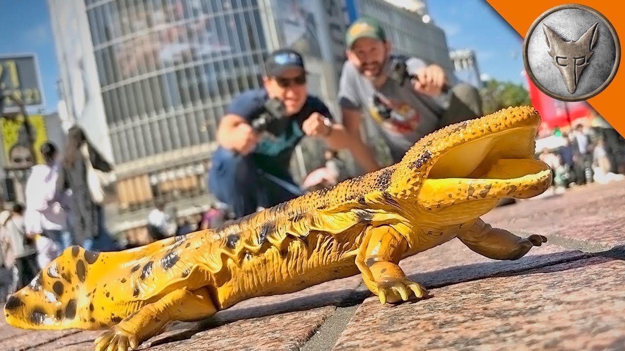 Catching GIANT SALAMANDERS in TOKYO!