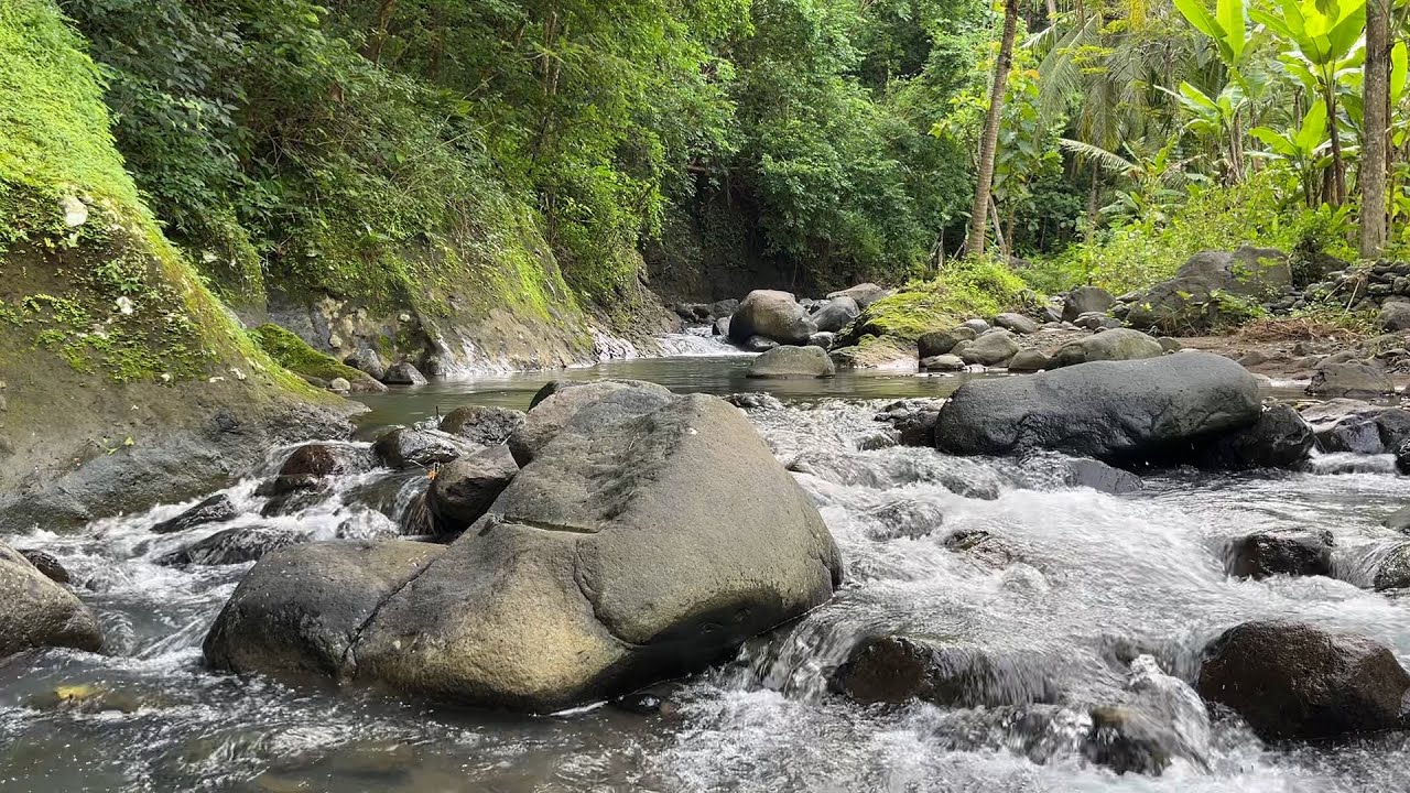 Relaxing River Ambience for Sleep 🌊 Deep Sleep Therapy & Mindfulness Meditation