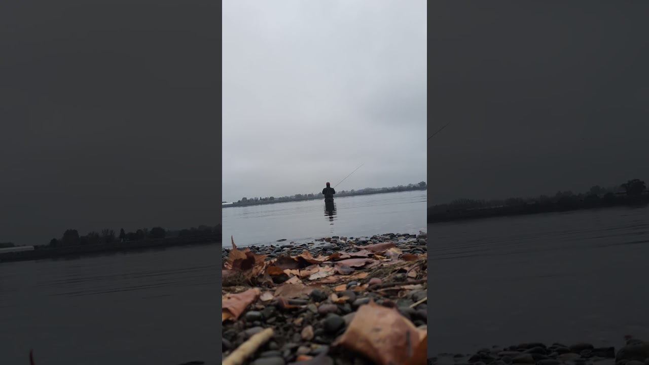 spey casting on the Columbia river 