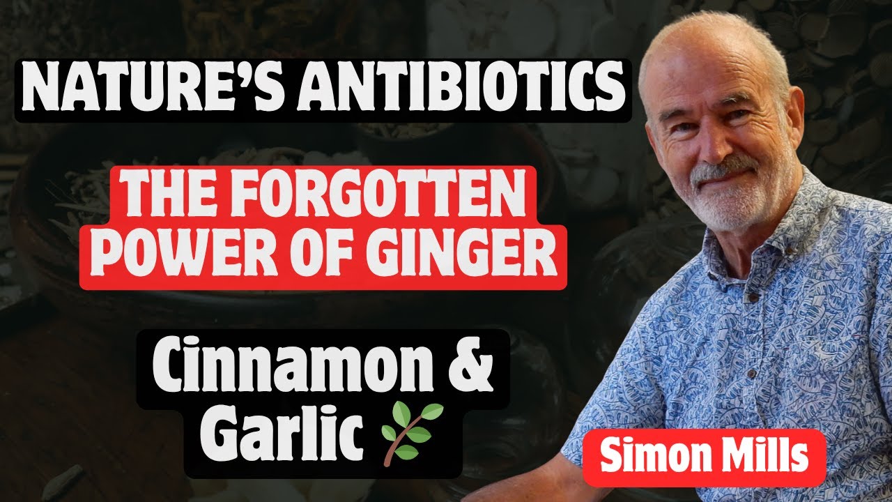 Simon Mills: Nature&rsquo;s Antibiotics &mdash; The Forgotten Power of Ginger, Cinnamon & Garlic 🌿