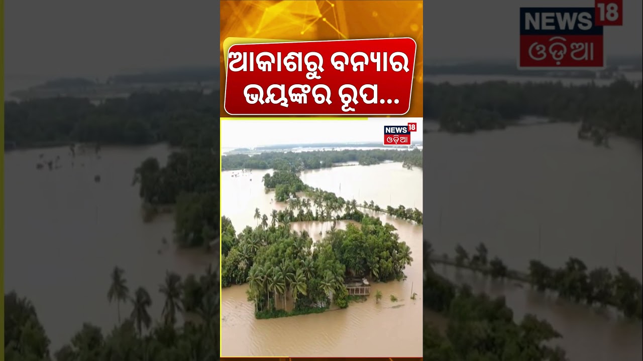 ବନ୍ୟାର ଭୟଙ୍କର ଦୃଶ୍ୟ ! Odisha Flood Update | Balasore Flood News | Flood In Odisha | Odia News
