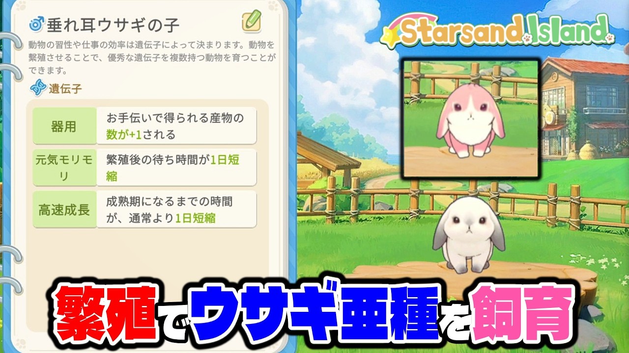 【繁殖で遺伝子厳選】ウサギの亜種と希少種が可愛すぎる！【スターサンド・アイランド】