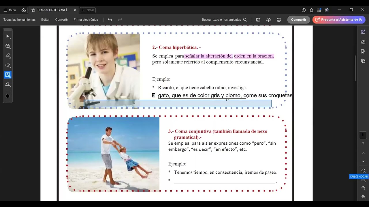 T 5 ORTOGRAFÍA PRIM II