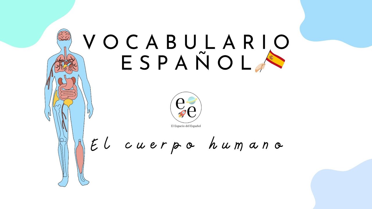 Aprender español: vocabulario del cuerpo humano (español nivel intermedio) - El espacio del español