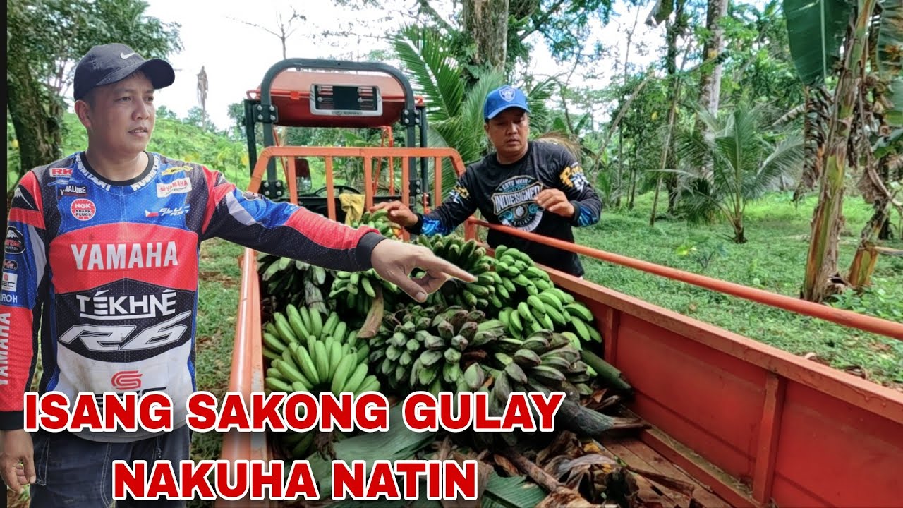 Isang sakong Gulay nakuha natin Sa kabila Paglilinis ng mga taniman