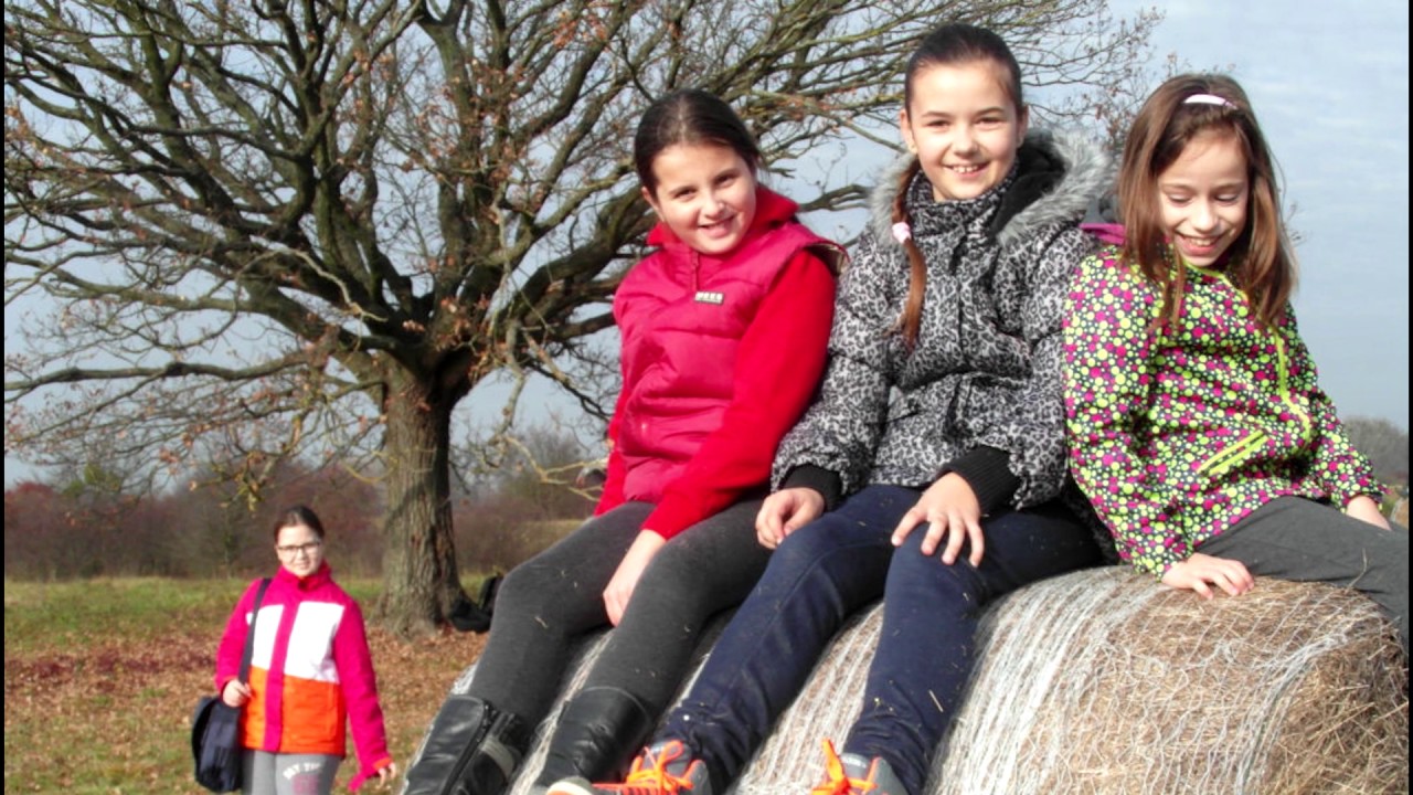 Erd&eacute;lyi J&aacute;nos Alapiskola, Nagykapos