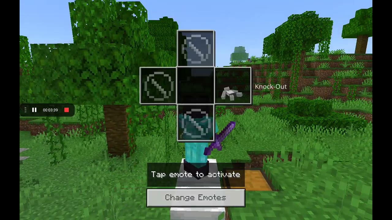 Killing this assassin in a hardcore smp
