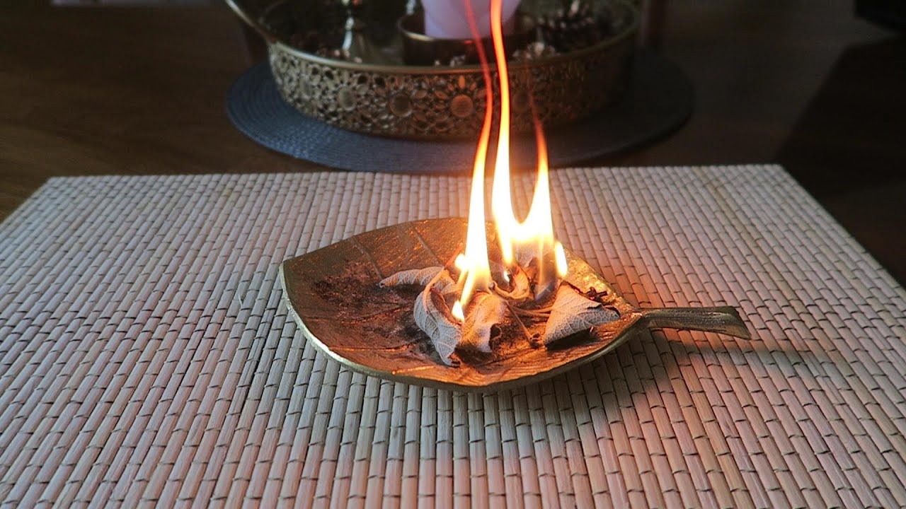 Burn A Sage Leaf in Your House - You Will Be Amazed By The Results
