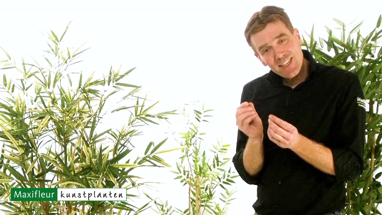 Möchten Sie alles über die künstliche Bambuspflanze wissen?