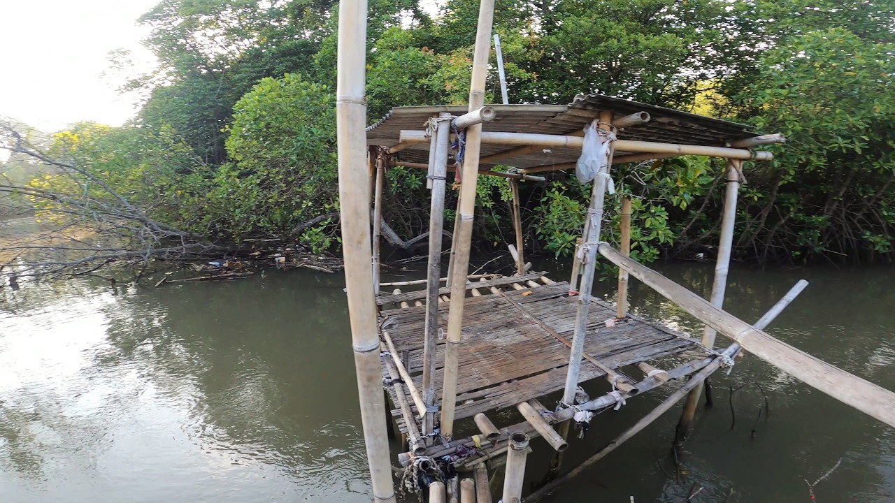 Tes mental ! 2 Malam berburu kakap putih di bagan muara gembong