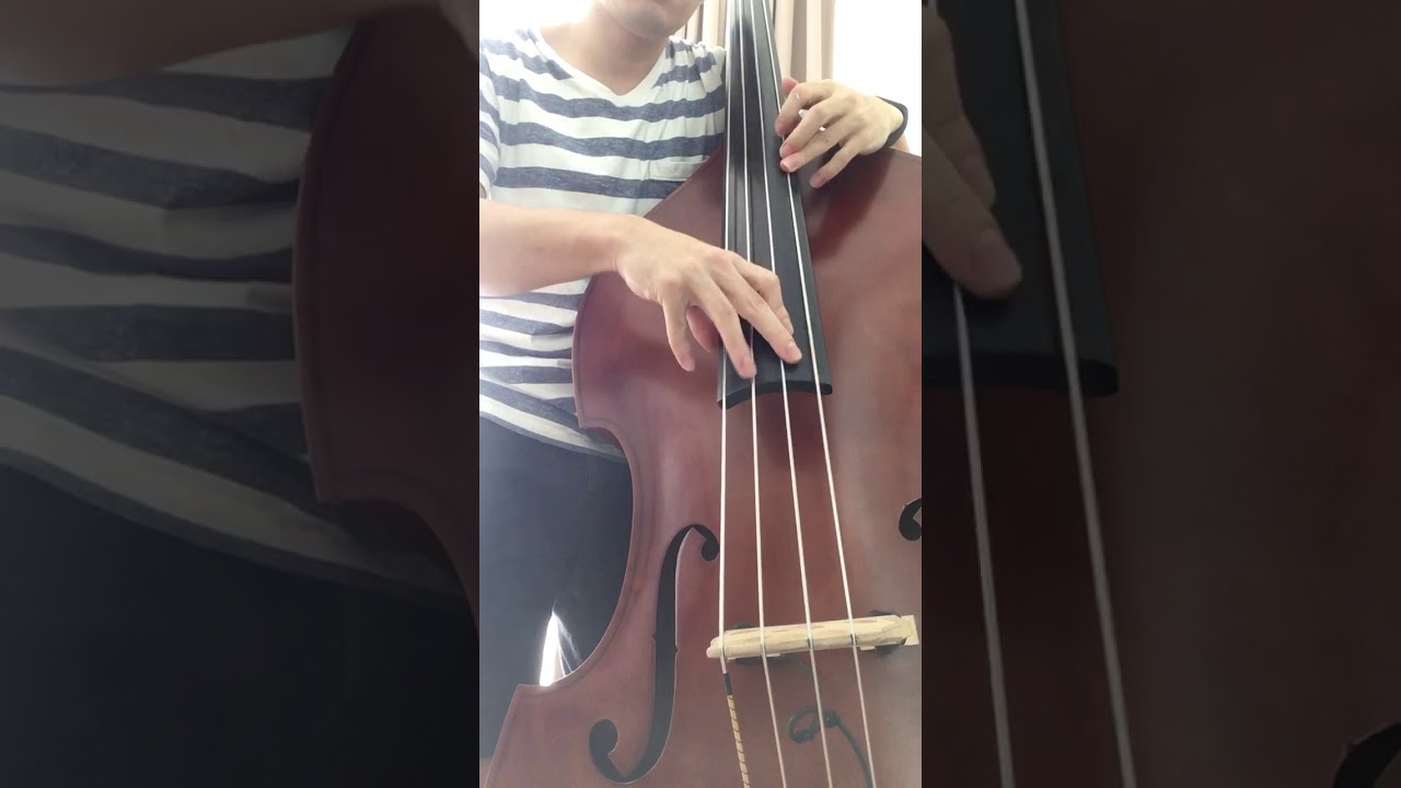 Pirastro Evah Pirazzi Slap double bass strings
