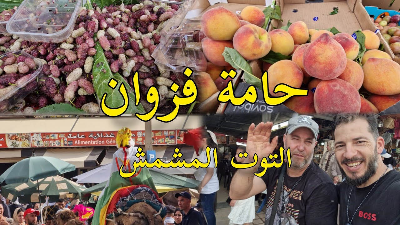 أجواء حامة فزوان هذا الصباح ممتلئ بالزوار موسم التوت المشمش إقليم بركان