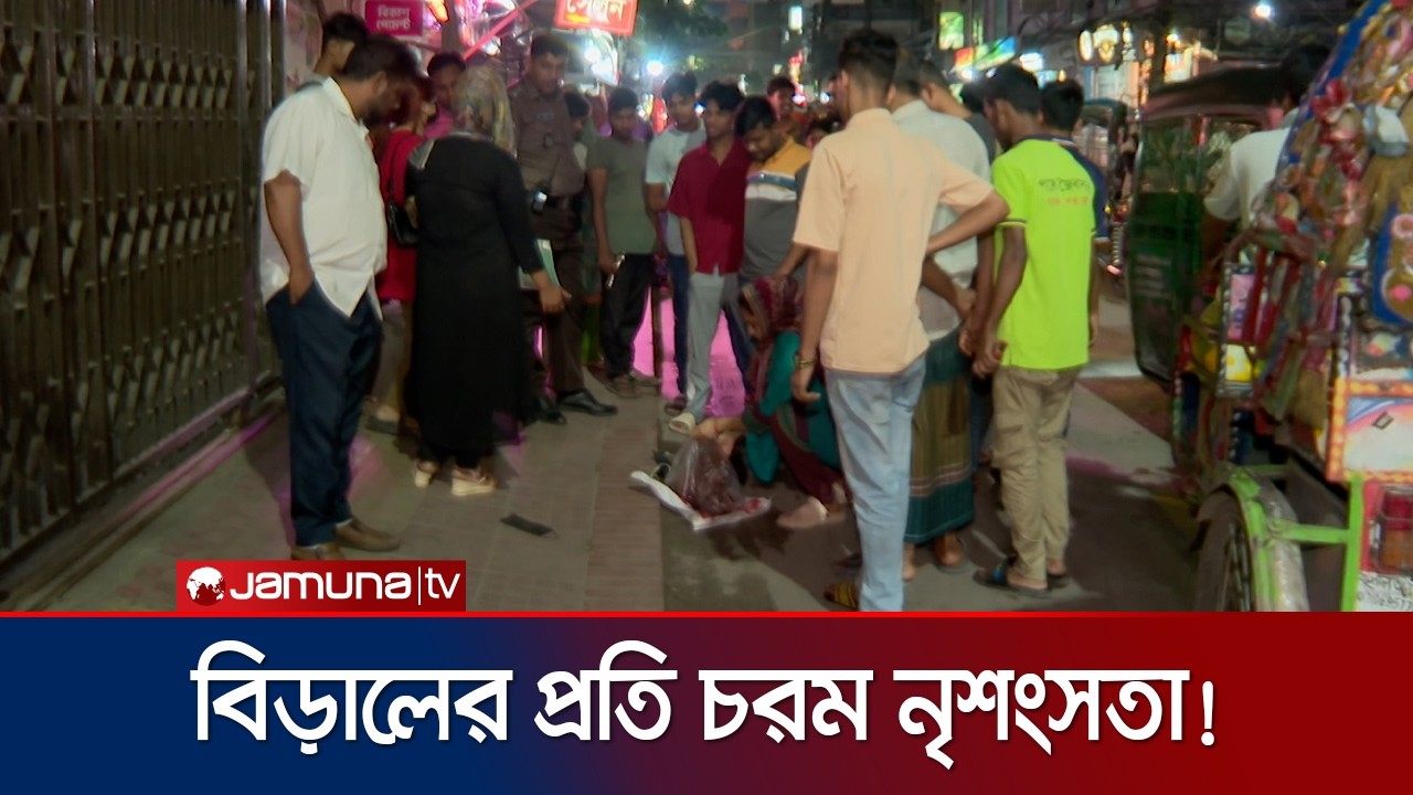পেট-বুক চিরে কয়েকটি বিড়ালকে হত্যা, ছিন্নভিন্ন অঙ্গ-প্রত্যঙ্গ | Cat | Jamuna TV