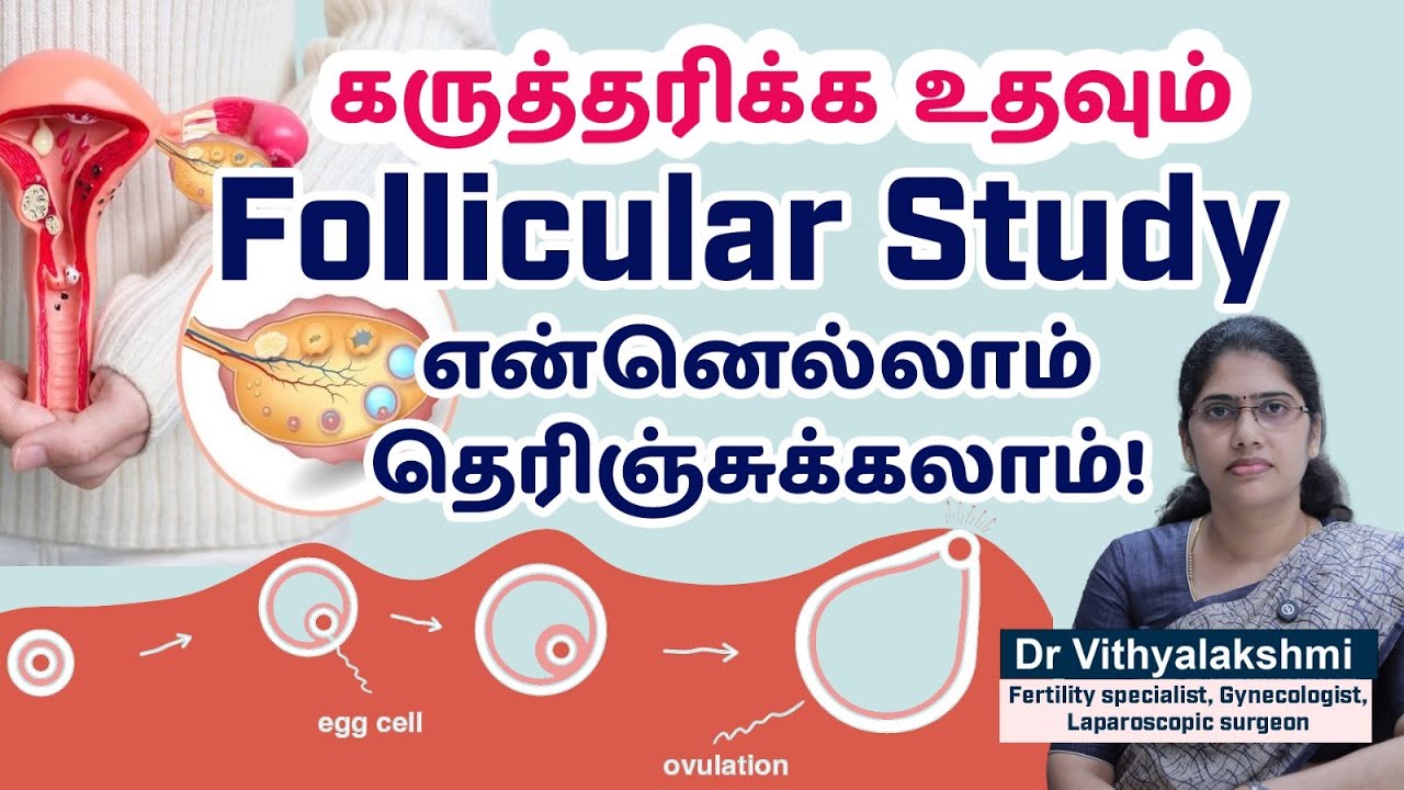 Follicular Study: Scan Purpose, Procedure, | Dr. Vithyalakshmi | IVF Specialist