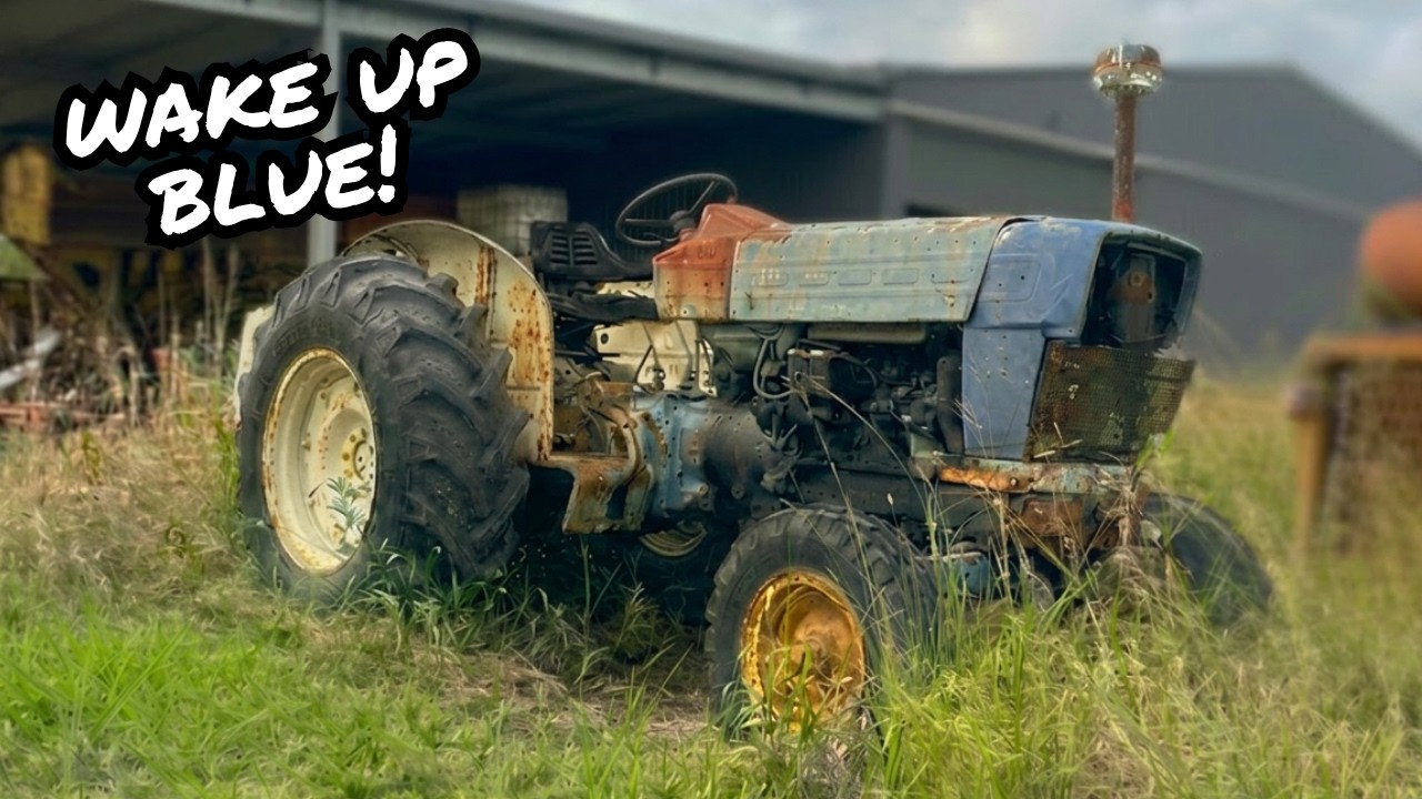 Заведётся и поедет? 58-летний синий трактор Ford 5000, брошенный в поле