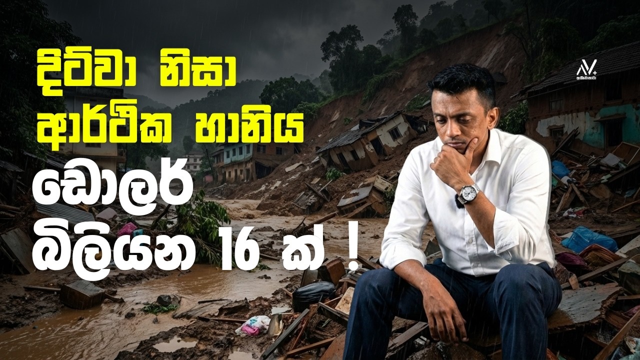 දිට්වා නිසා ආර්ථික හානිය ඩොලර් බිලියන 16 ක් !  | Dhananath Fernando