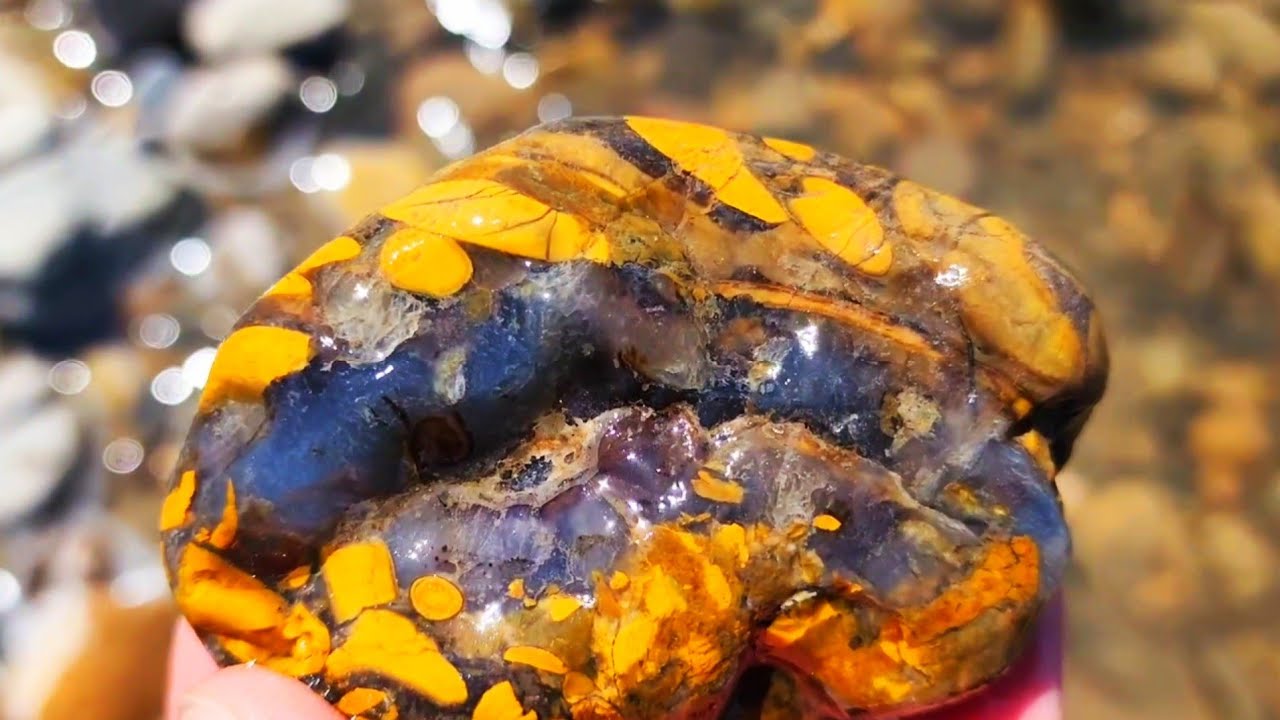 The Incredible Discovery Of A Rare Blue Chalcedony Jasper #rockhounding #bluechalcedony