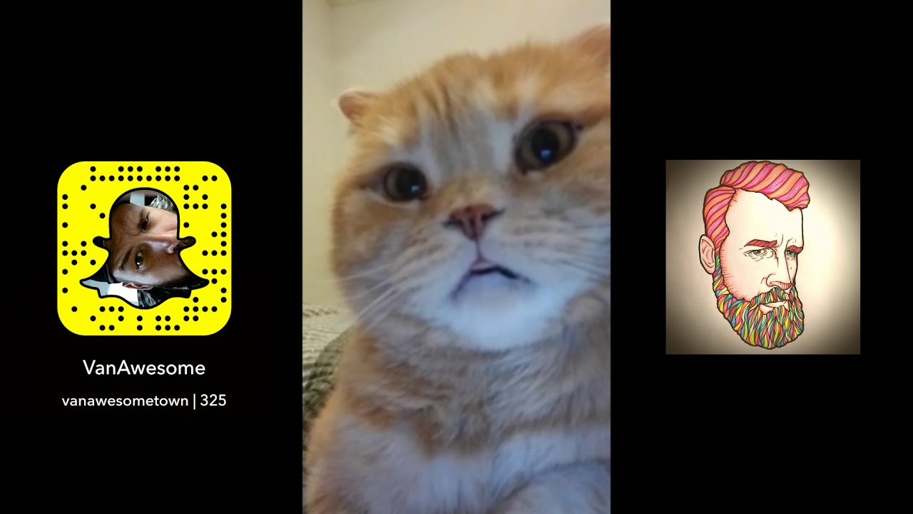 Van's Snaps - Best of Snapchat Compilation Oct 2016