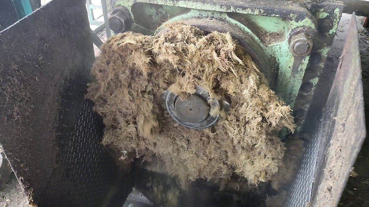 mesin bunch press pks ( penghancur jangkos )