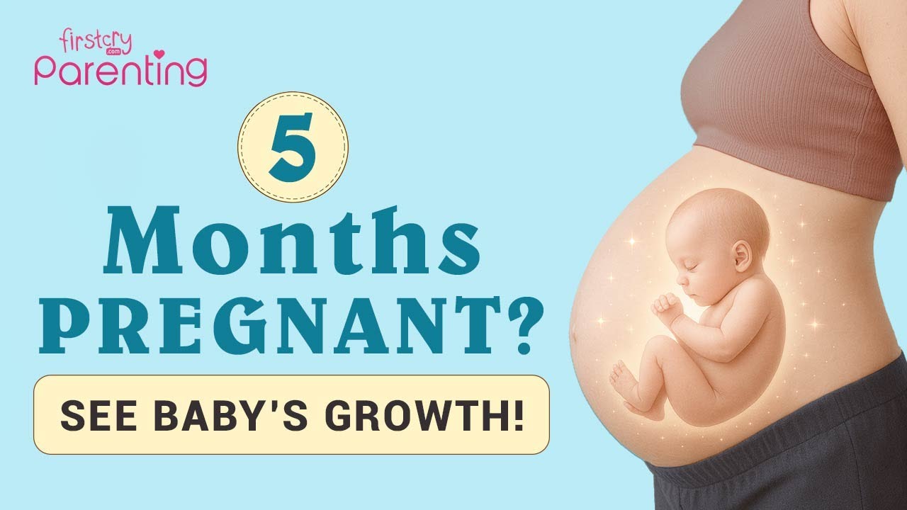5 Months Pregnant - Baby Development and Care Tips | 5 Month Pregnant Baby Development