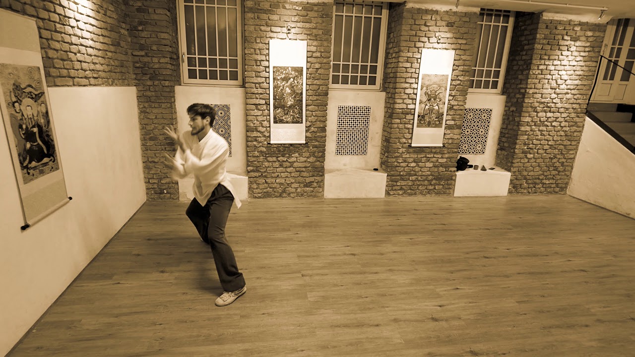 Wu Dang Ba Gua Zhang by San Feng Pai - (Full Baguazhang Form)
