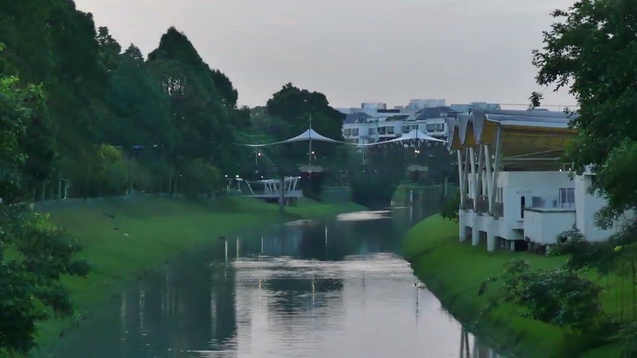 新加坡野生水獭 _ City In Nature _ Smooth-coated Otter Family In South West Singapore _ 12sep2023 6.50pm