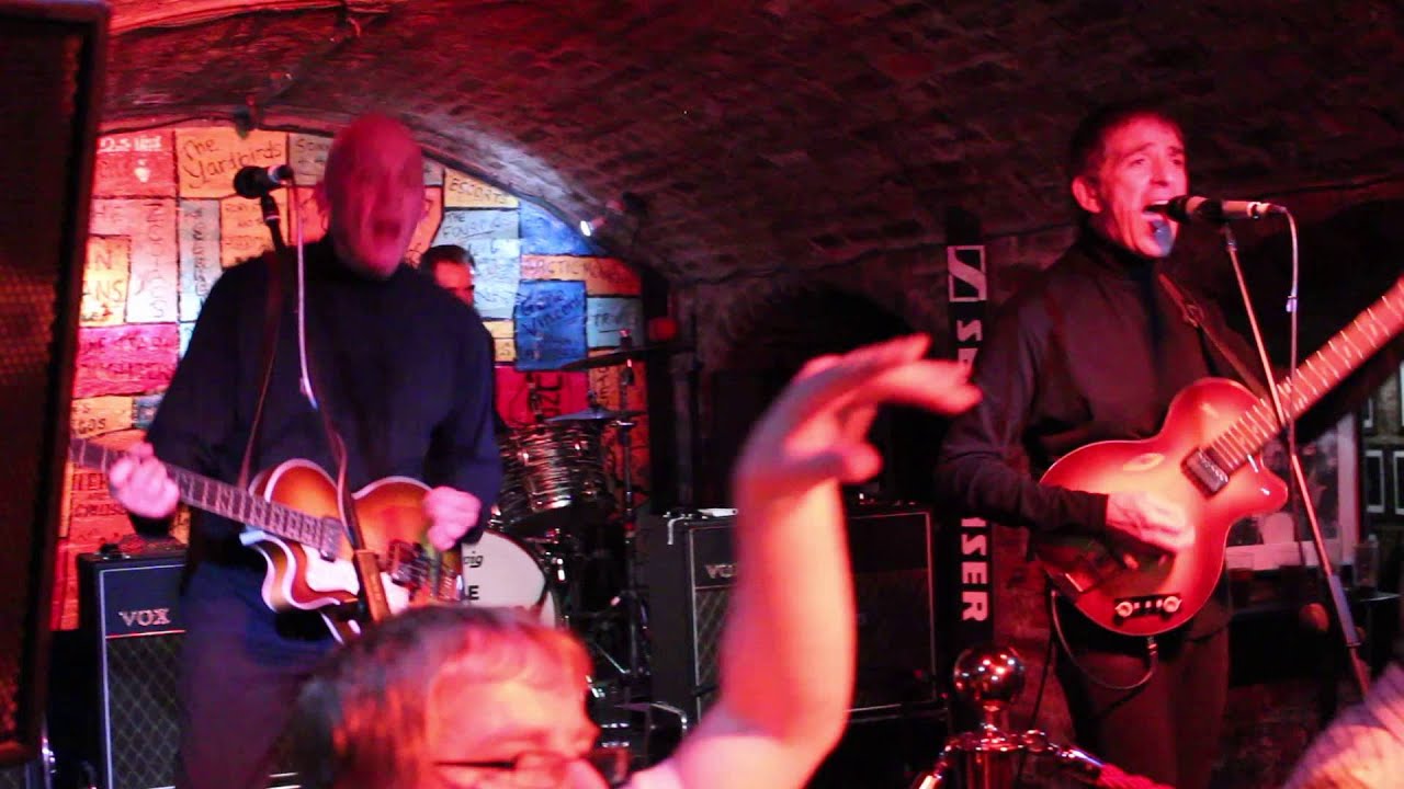 Hippy Hippy Shake by The Shakers