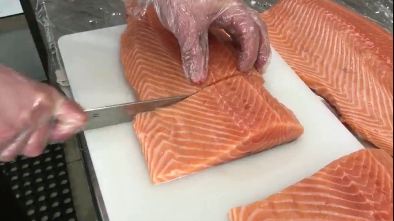Sushi time видео