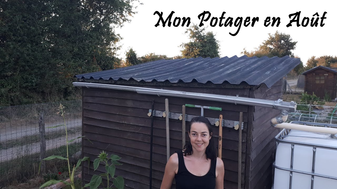 Août au Potager : ce que je récolte, ce que je sème