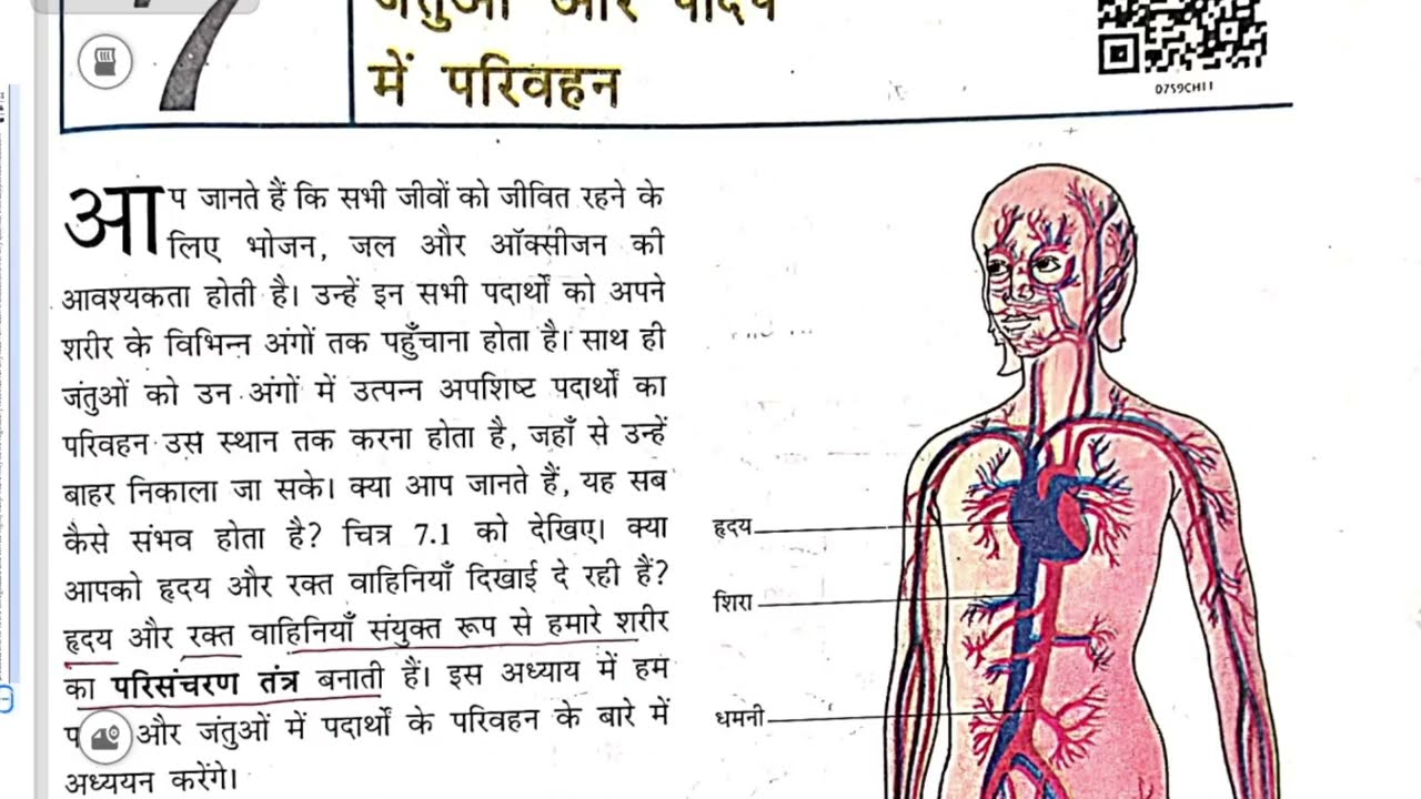 Class 7 Science Ch 7 | जंतुओं और पादप में परिवहन - रक्त तथा रक्त वाहिनियाँ | 