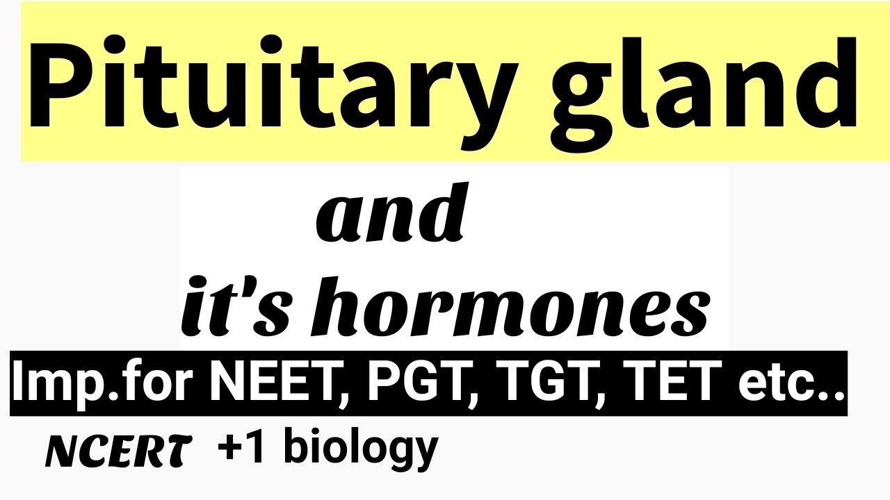 pituitary gland | pituitary gland and it's hormones |+1biology ncert| #pituitarygland |#shudhgyan