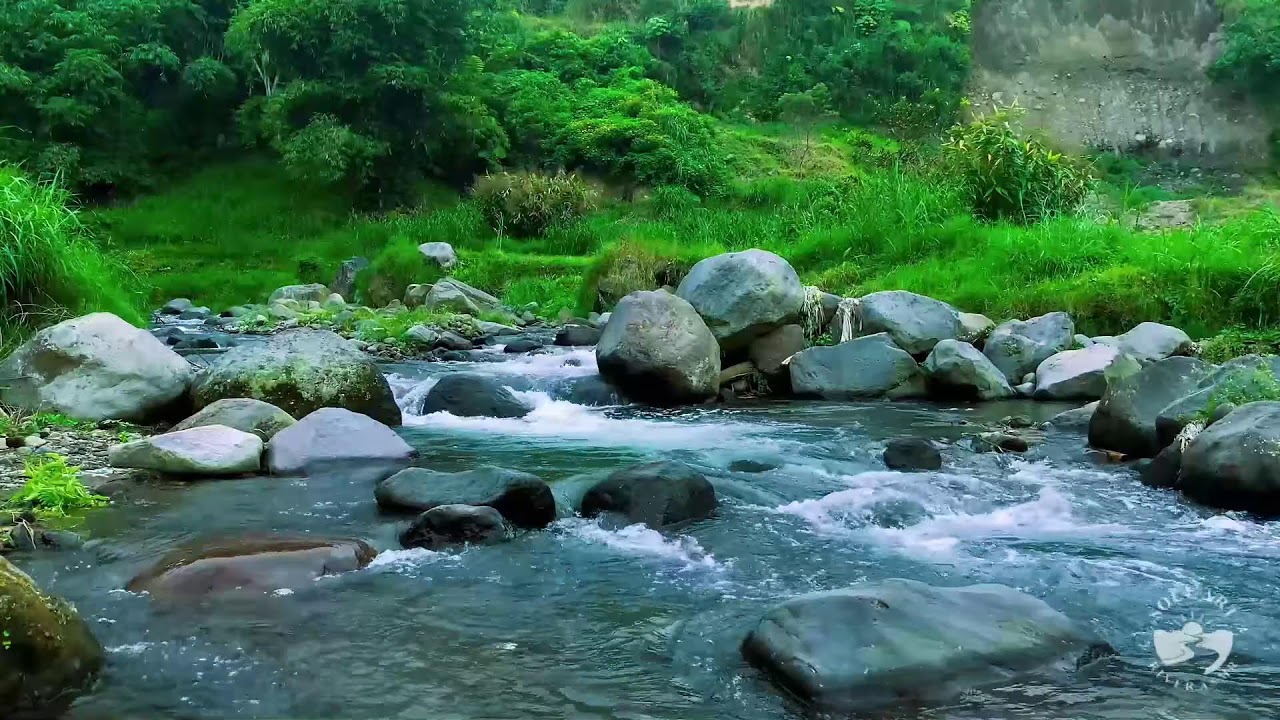 River Sounds for Sleeping All Night | Calm Flowing Water Nature Ambience for Deep Rest