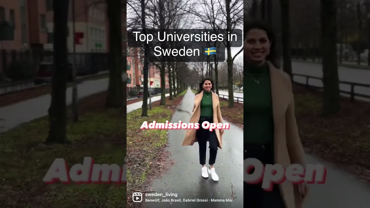 Sweden is a great destination for international students. With over 60 Bachelor&rsquo;s and 900 Master&rsquo;s