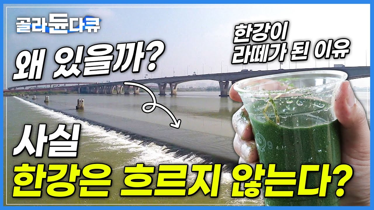 아니 한강이 흐르지 않는다고요? 한강이 흐르지 않게 된 이유와 우리가 몰랐던 한강의 실제 모습│한강은 사실 흐르지 않는다│신곡수중보│#환경오염 #생태계│하나뿐인 지구