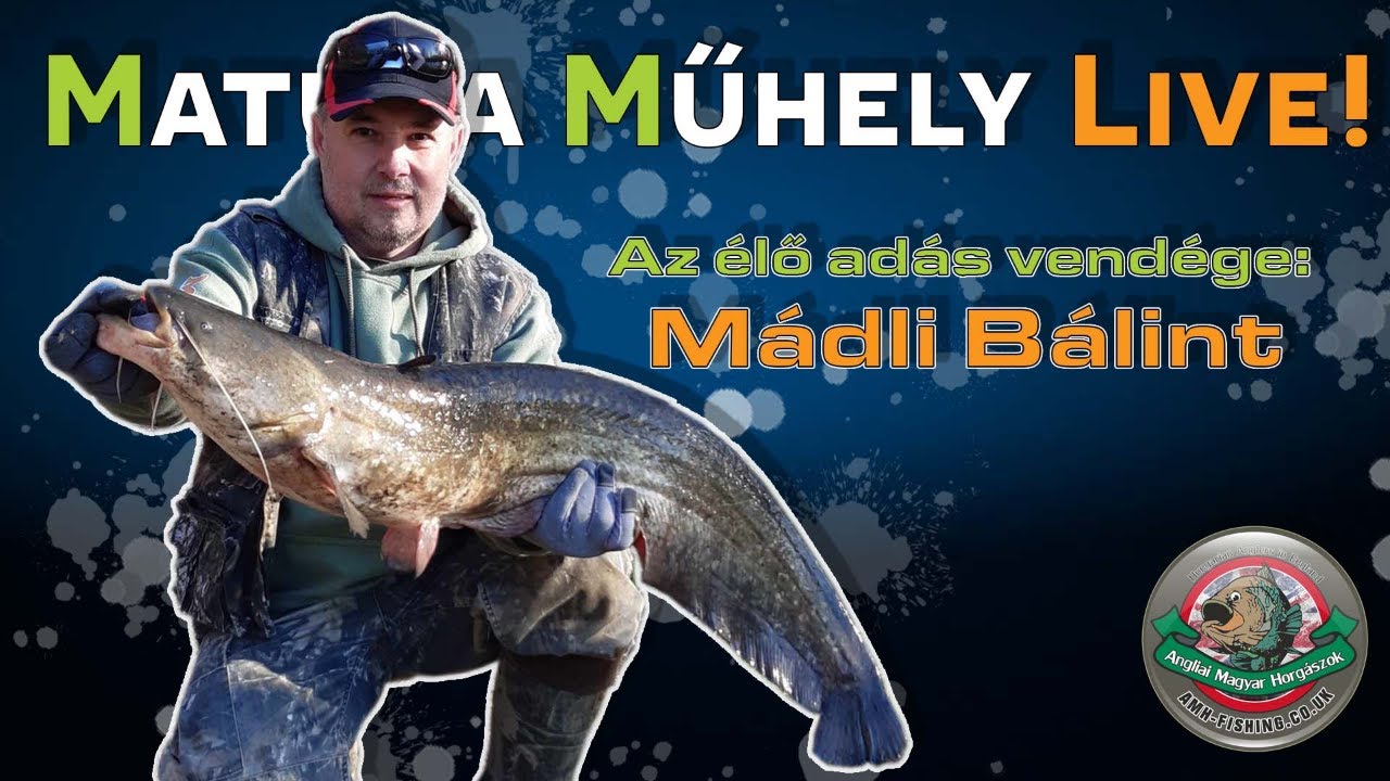 Harcsapergetés partról | Matula Műhely Live! - Mádli Bálinttal