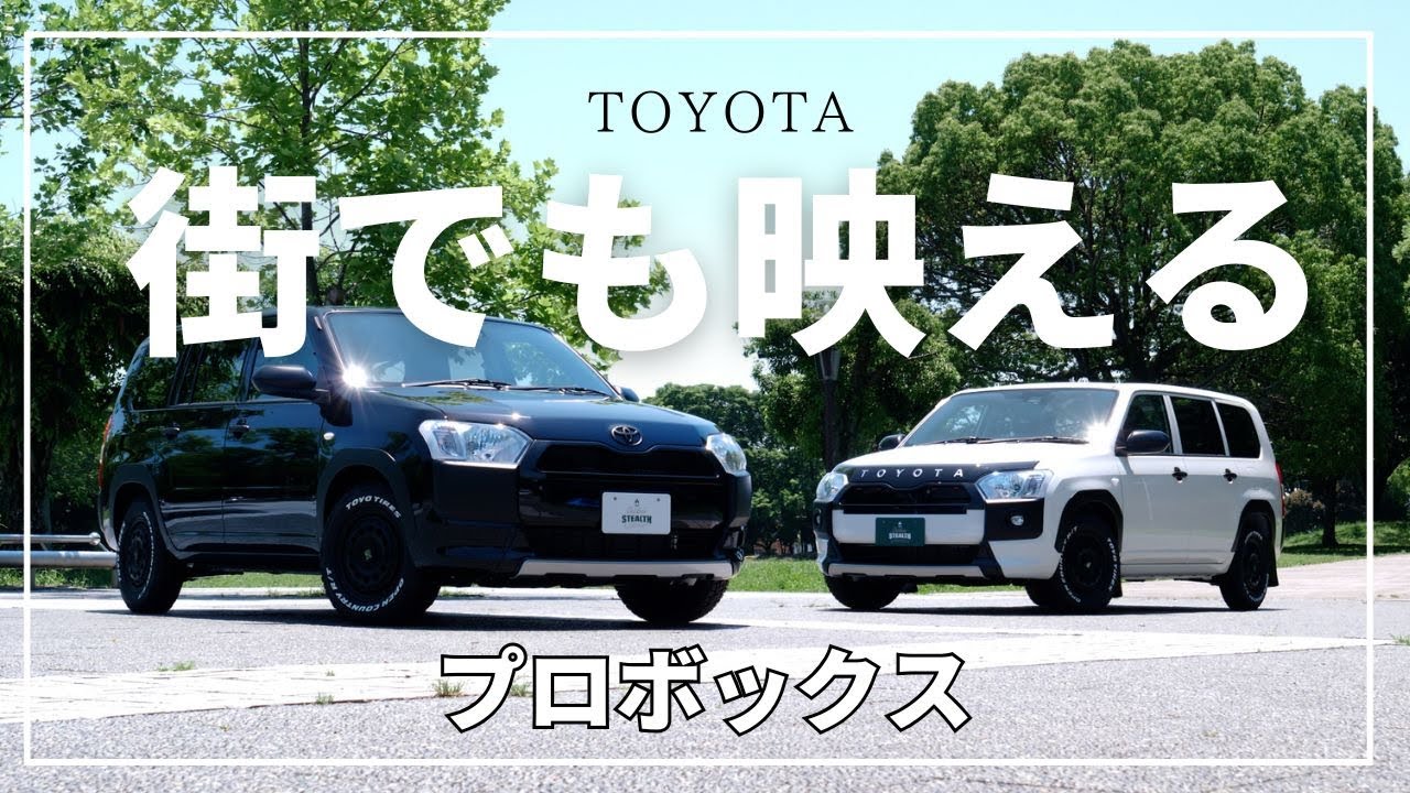 プロボックス カスタム大全｜商用車がおしゃれに変身！