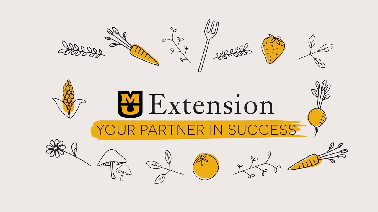 MU Extension: Your Partner in Success